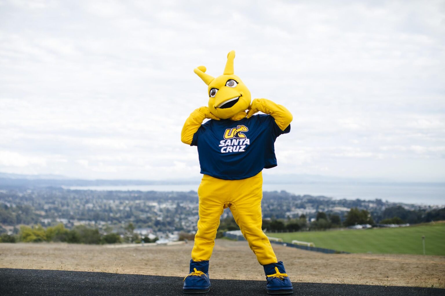 Our Mascot: Sammy the Banana Slug UC Santa Cruz