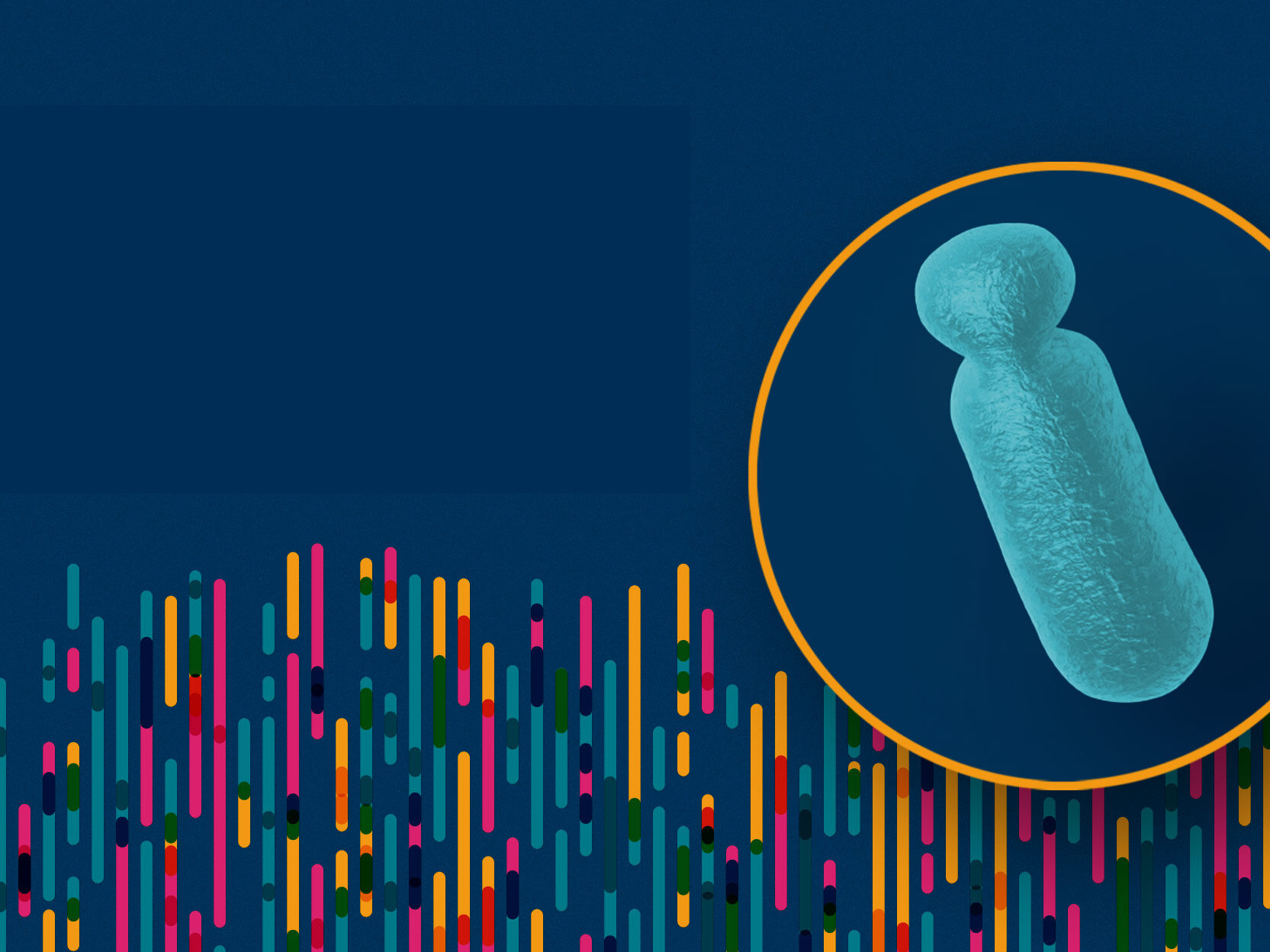 Graphic illustration with bright colors and close up of a chromosome.
