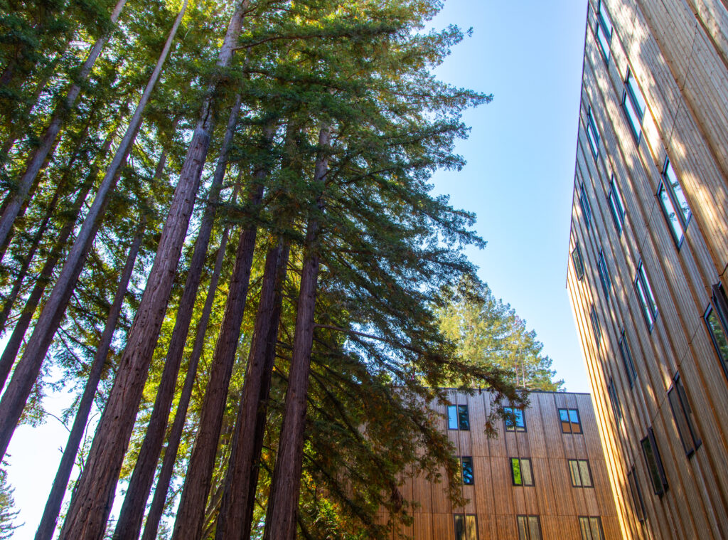 Kresge College residential buildings with giant redwood trees all around