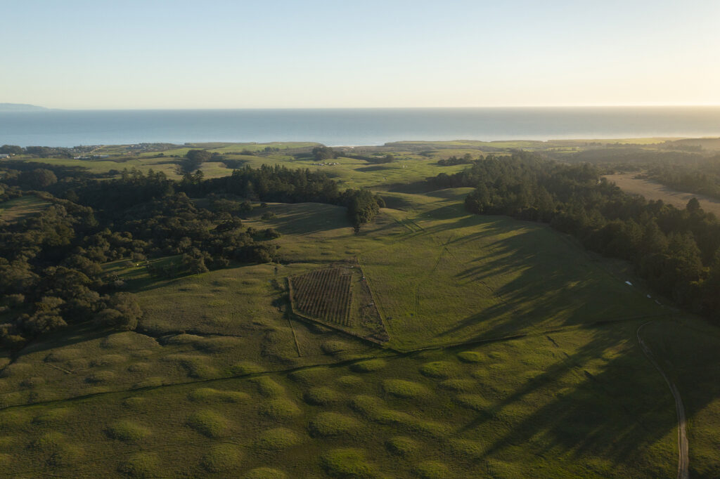Aerial of coastal property at sunset