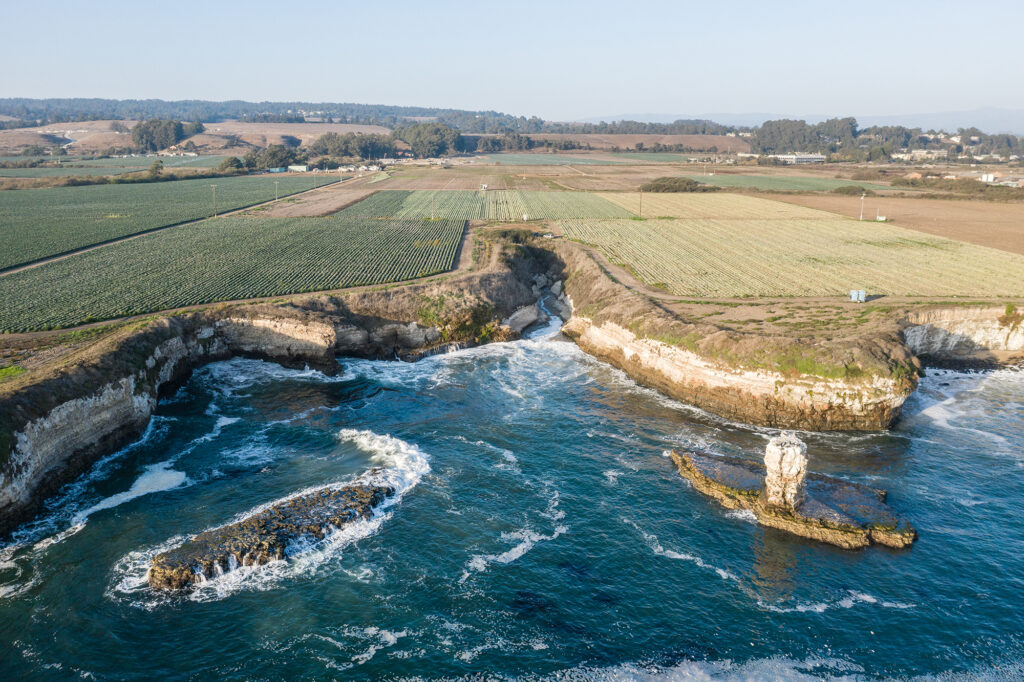 Coastal cliffs with farmland 