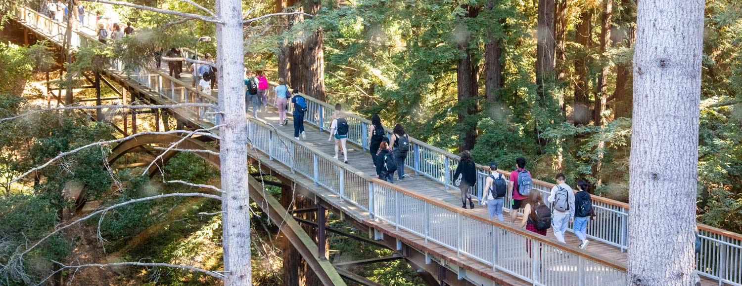 Students on Kresge Bridge