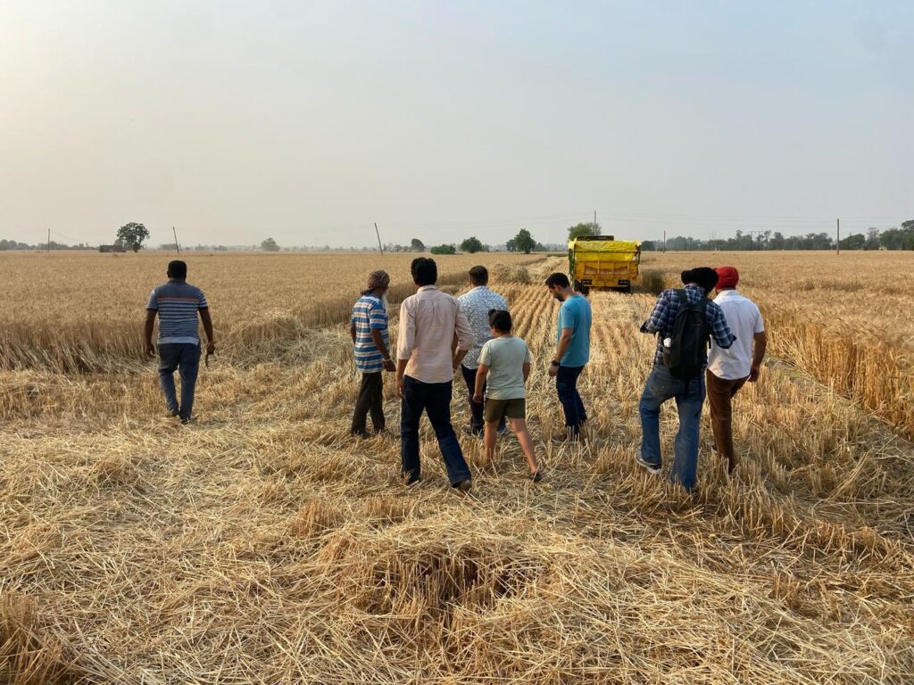 group walking through field of dried grass