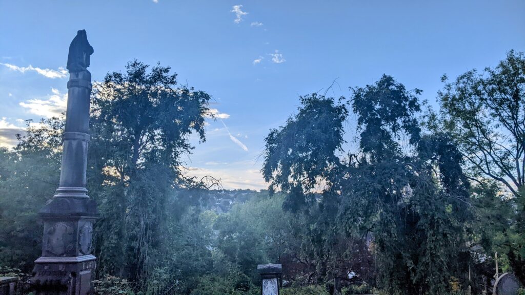 trees in a cemetery