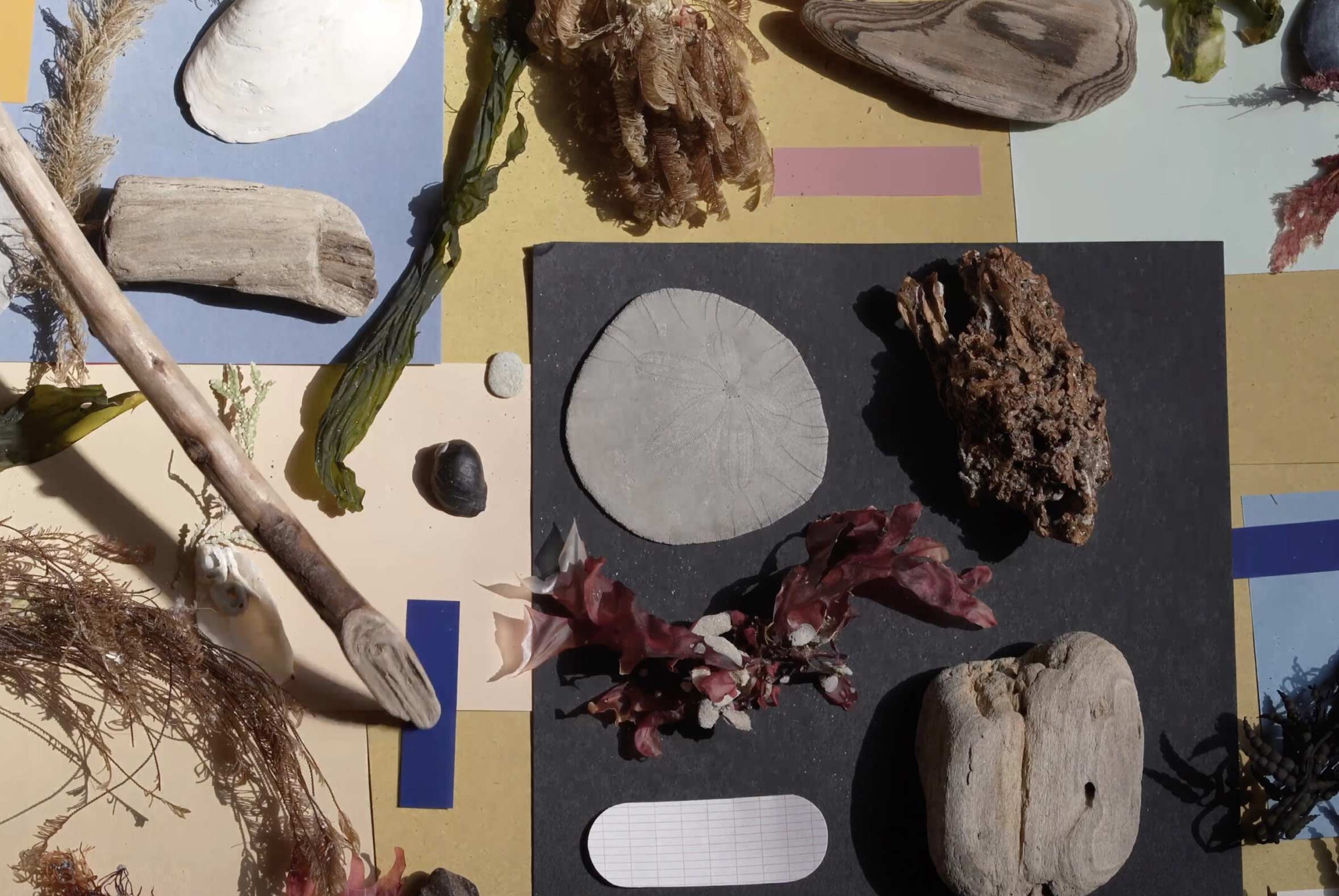 Hydrocatalogue (2025), Kim Kölle Valentine