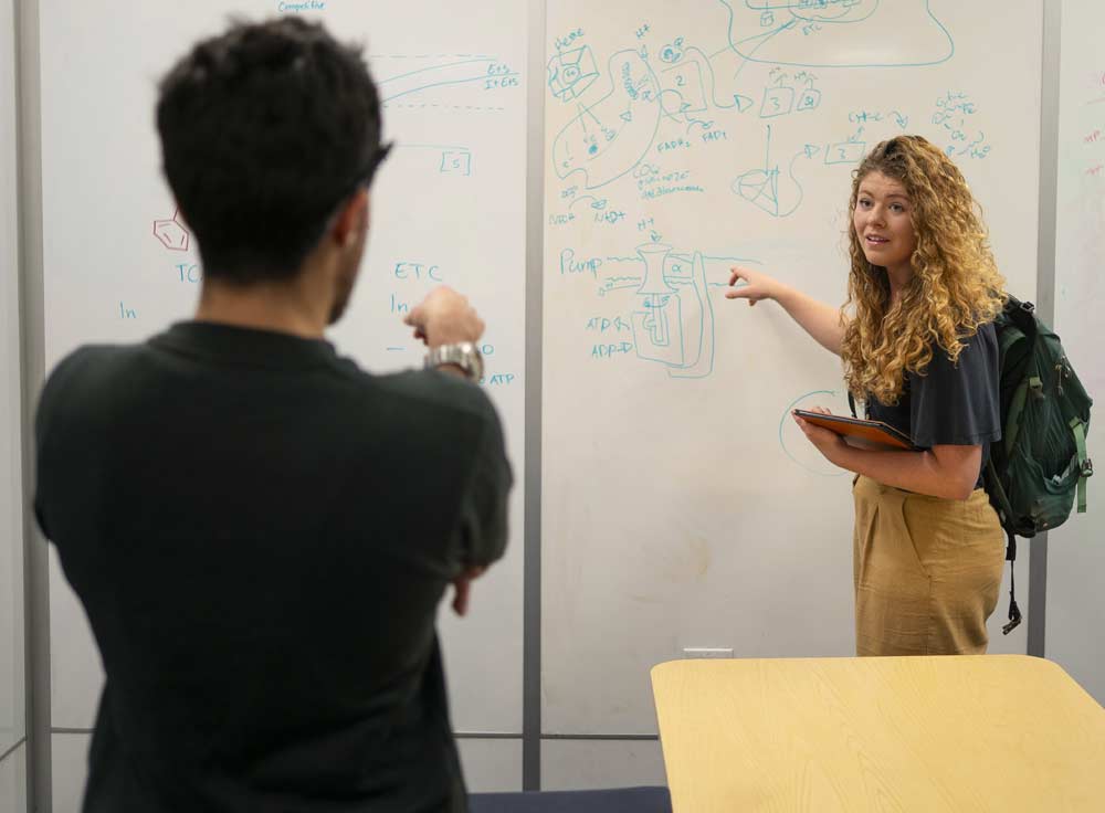 A female student pointing at diagrams on a large whiteboard while collaborating with a peer.
